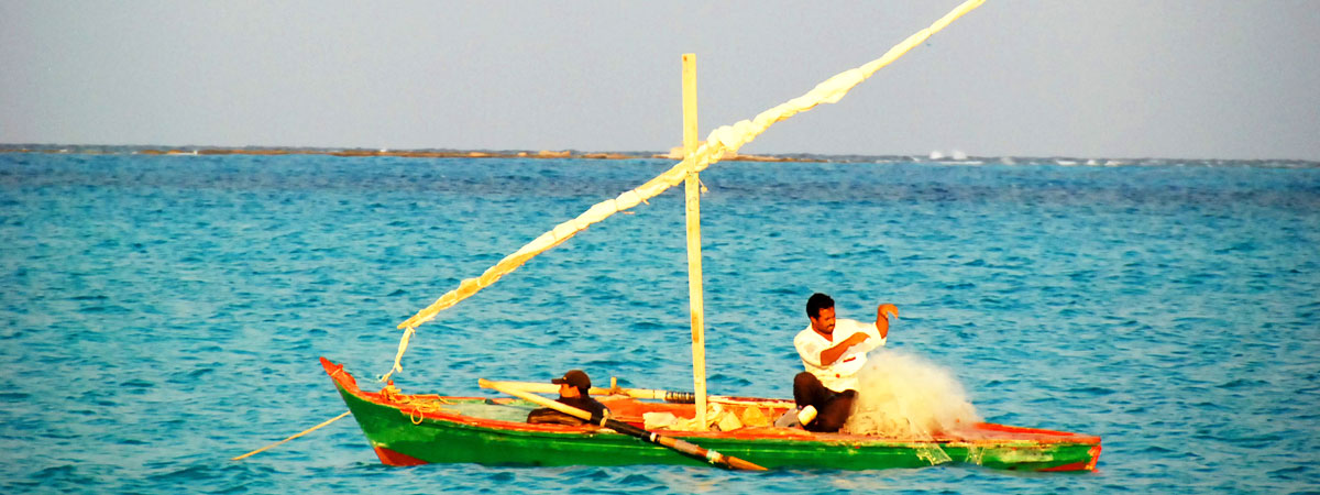 Experience Matrouh's Beauty from a Unique Perspective on a Boat Tour - Understanding Matrouh's Marine Ecosystem